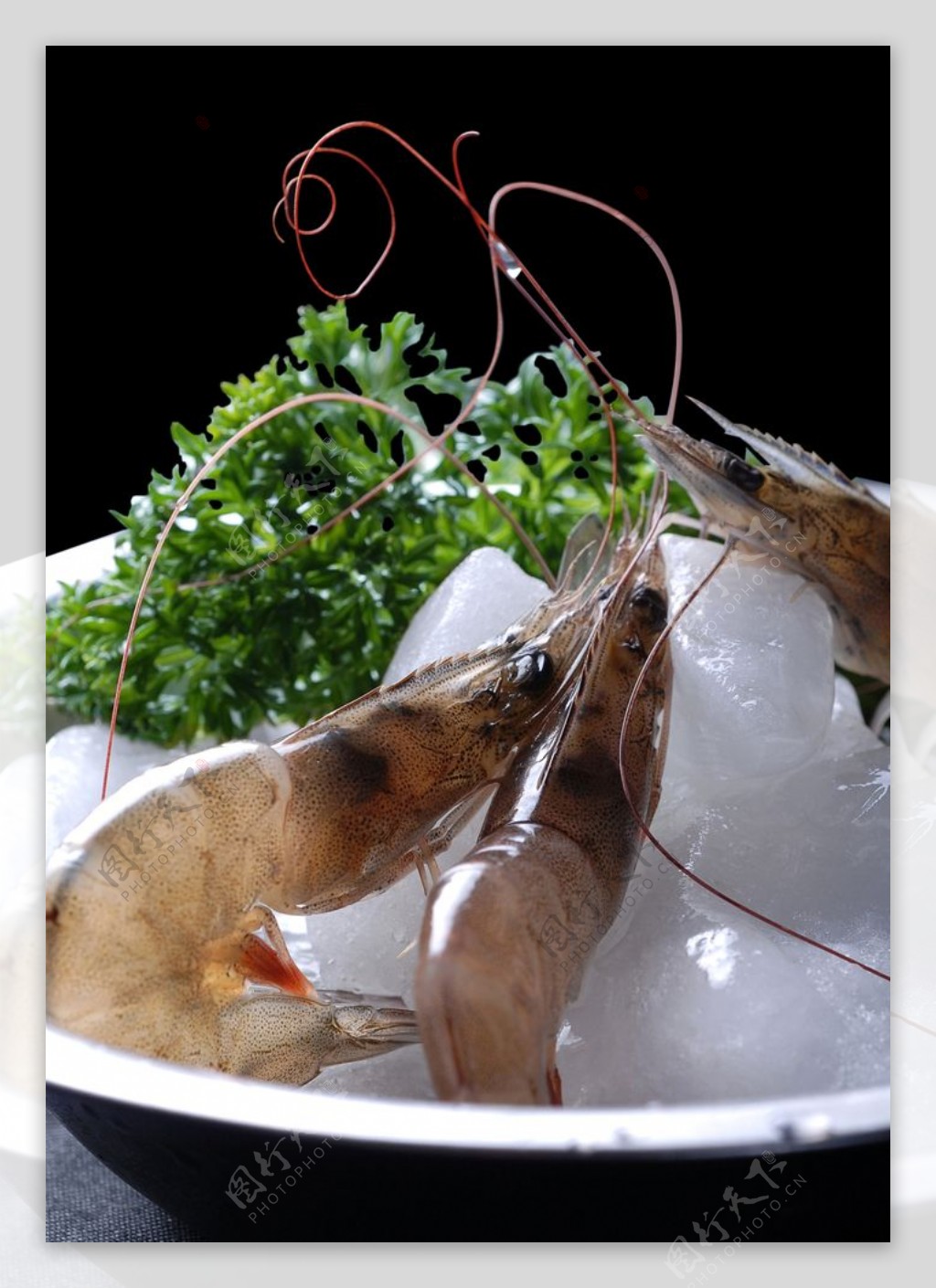 海鲜基围虾图片