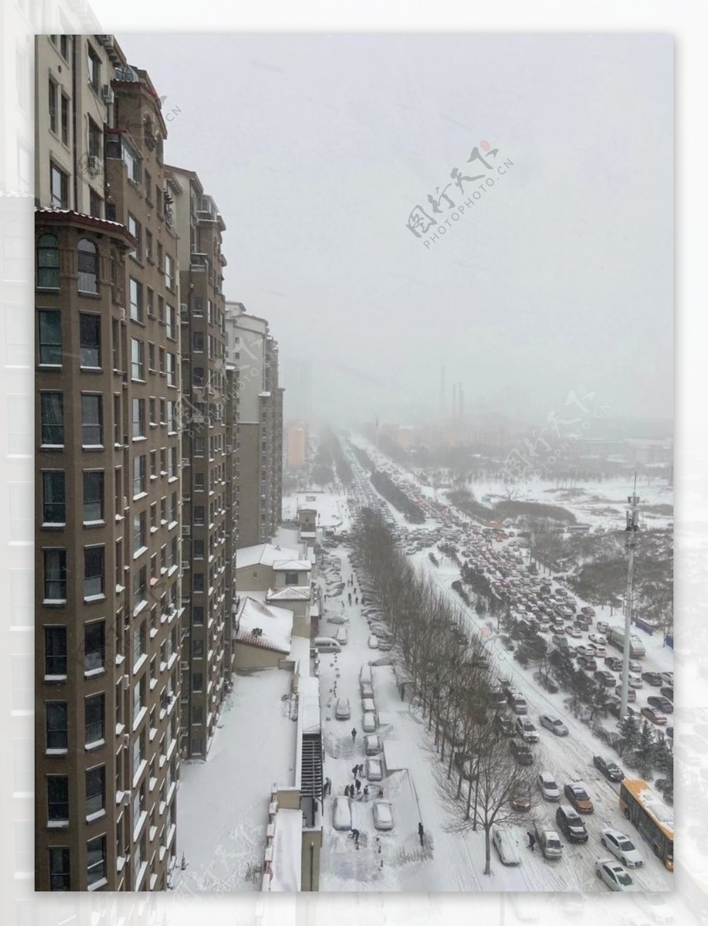 大雪中的哈尔滨图片