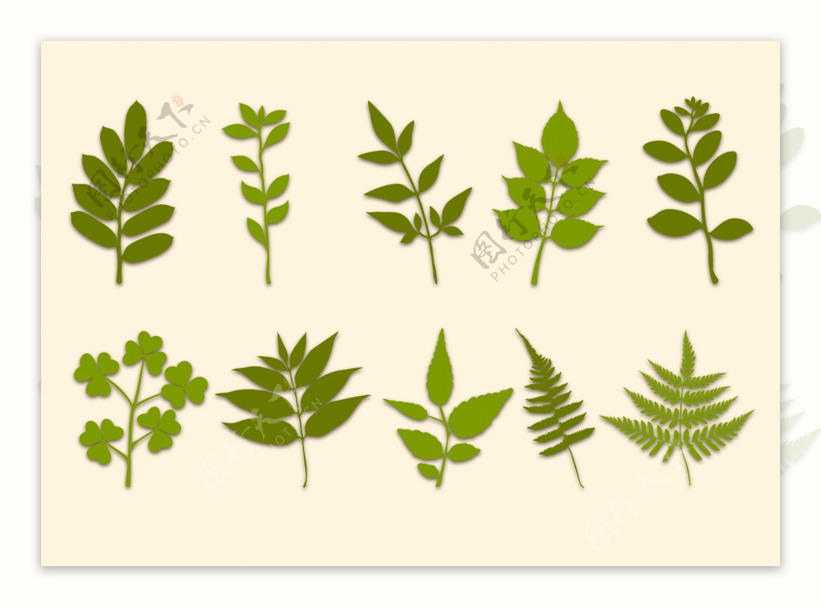 植物叶子矢量图图片