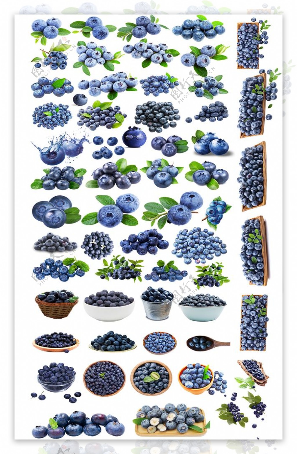 蓝莓免抠图汇总图片