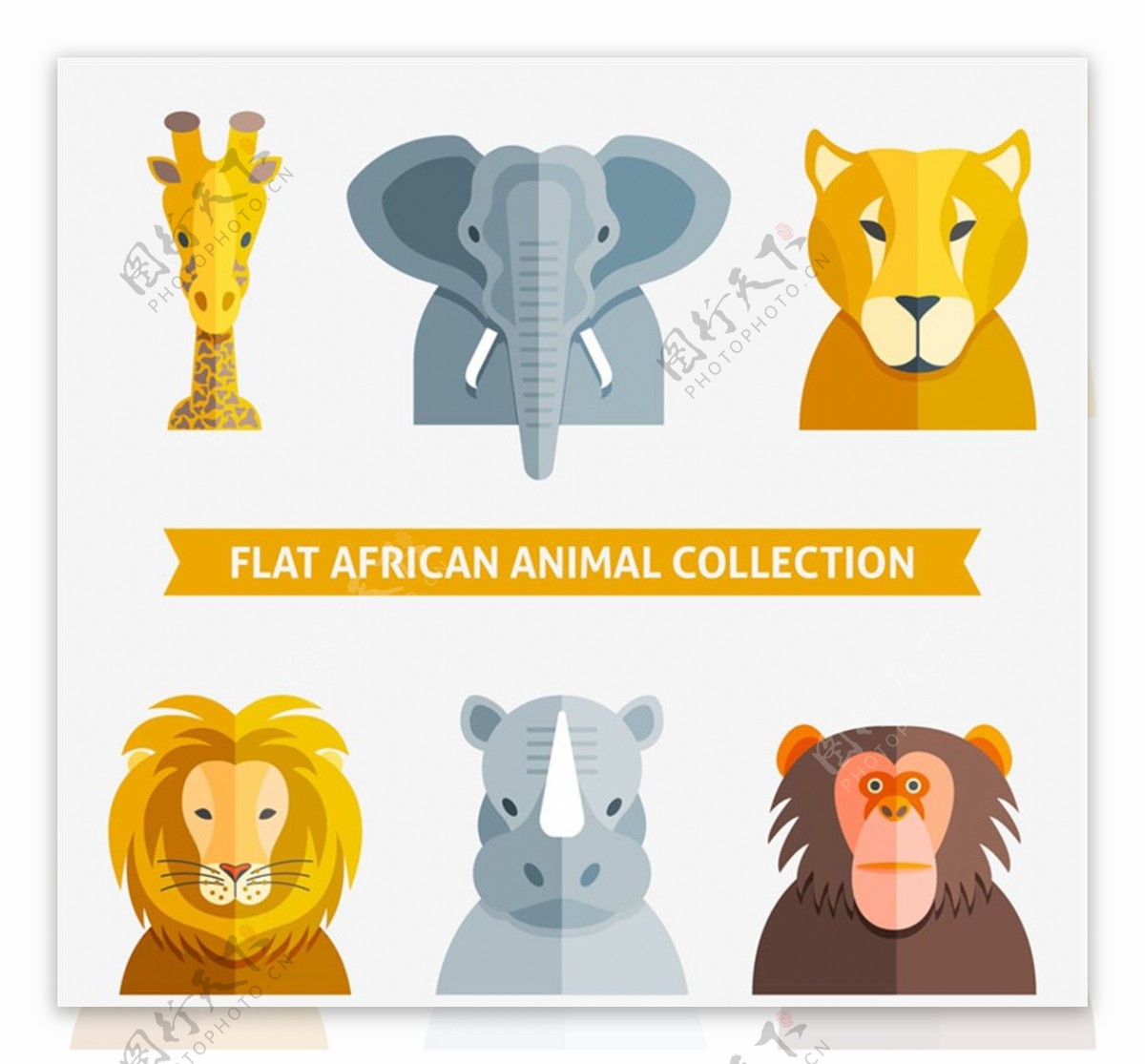 非洲动物头像图片