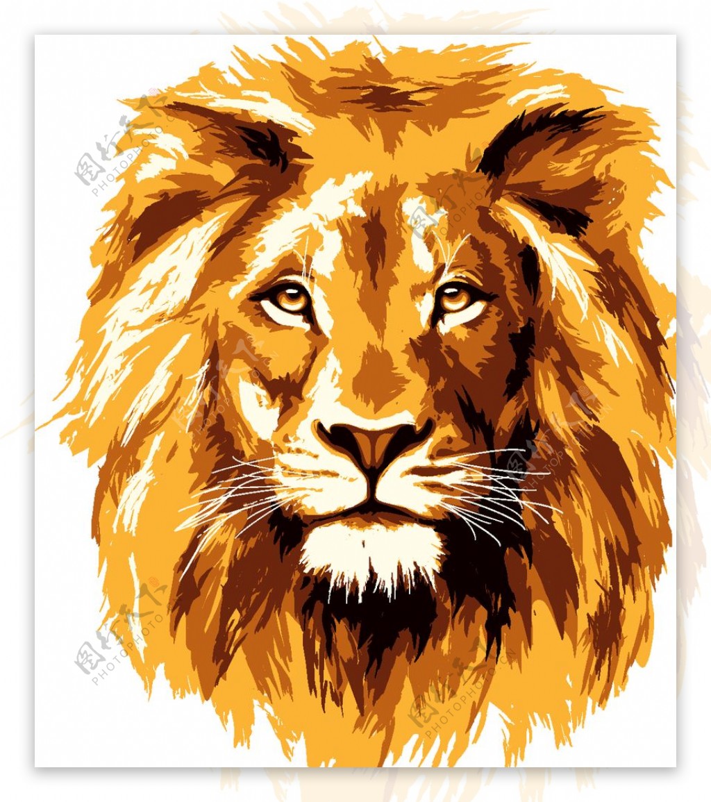 狮子Lion涂鸦动物图片