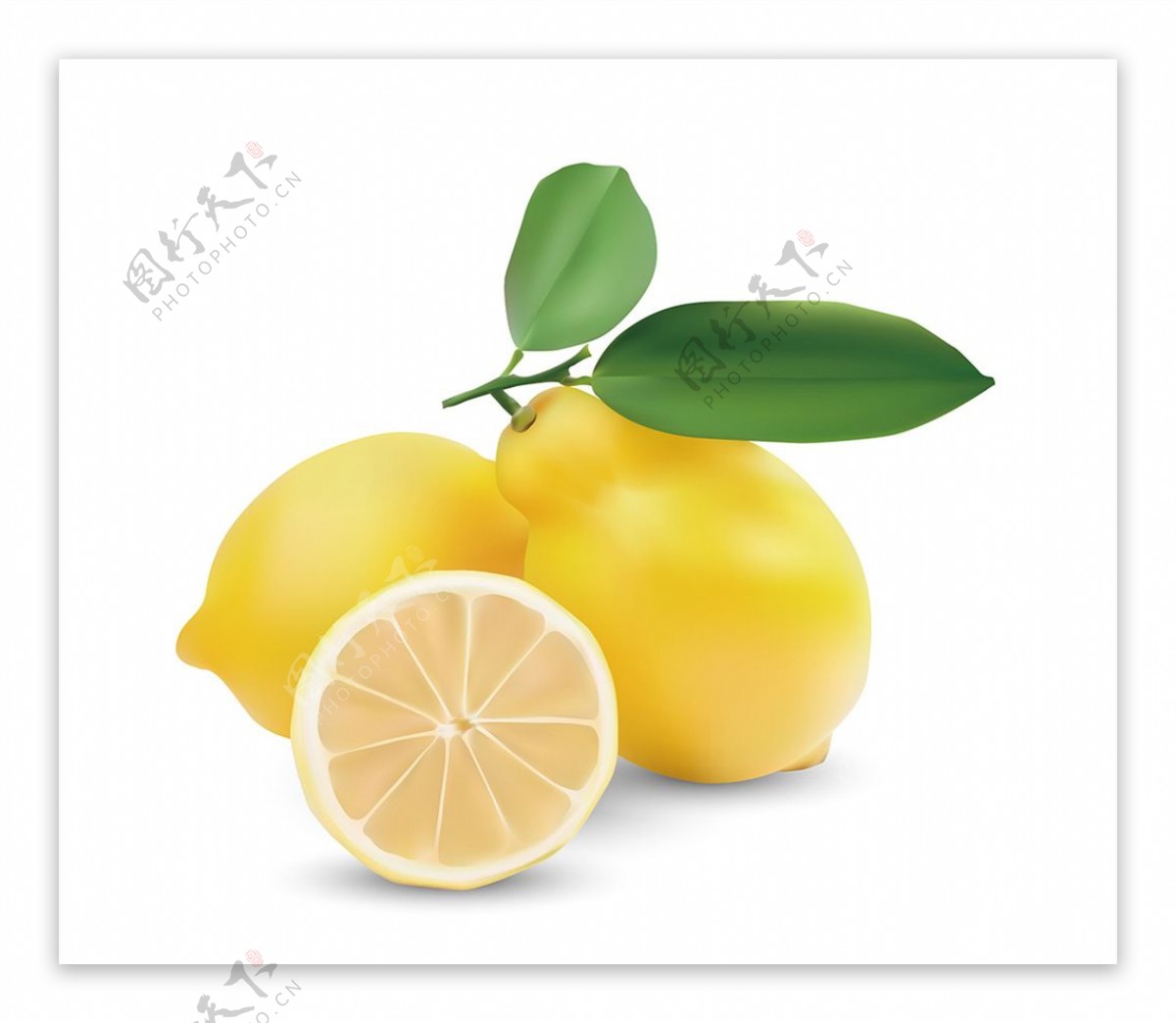 矢量柠檬图片