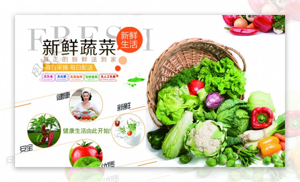 鲜蔬菜宣传展板图片
