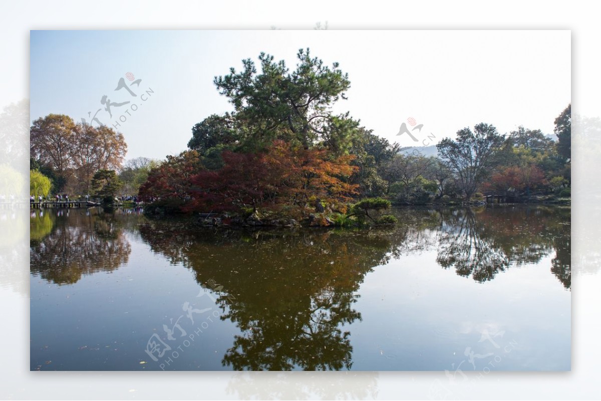 西湖花港观鱼图片