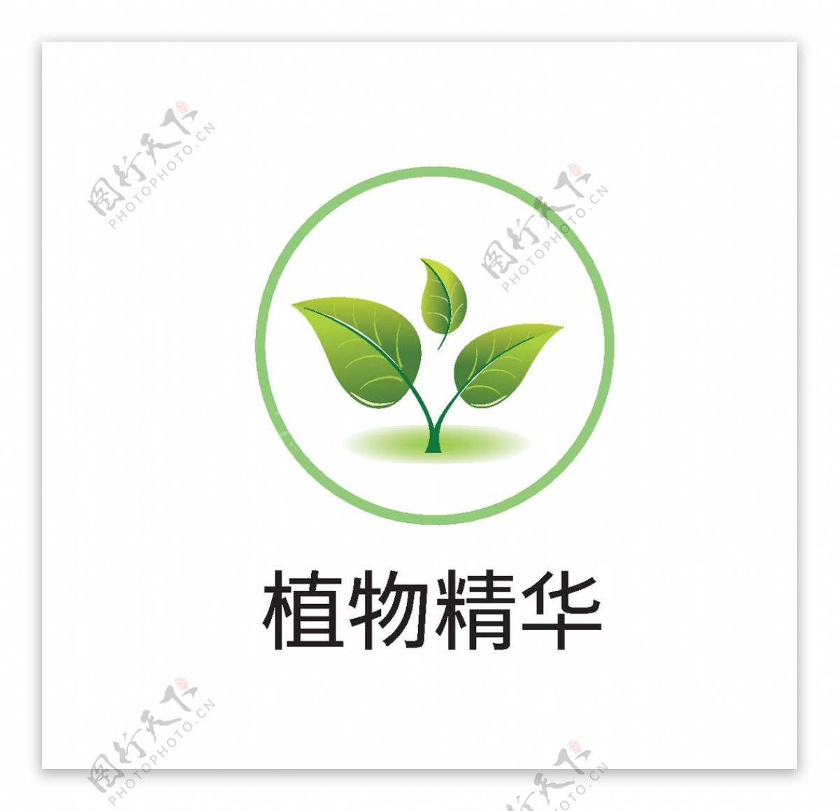 植物精华图标图片