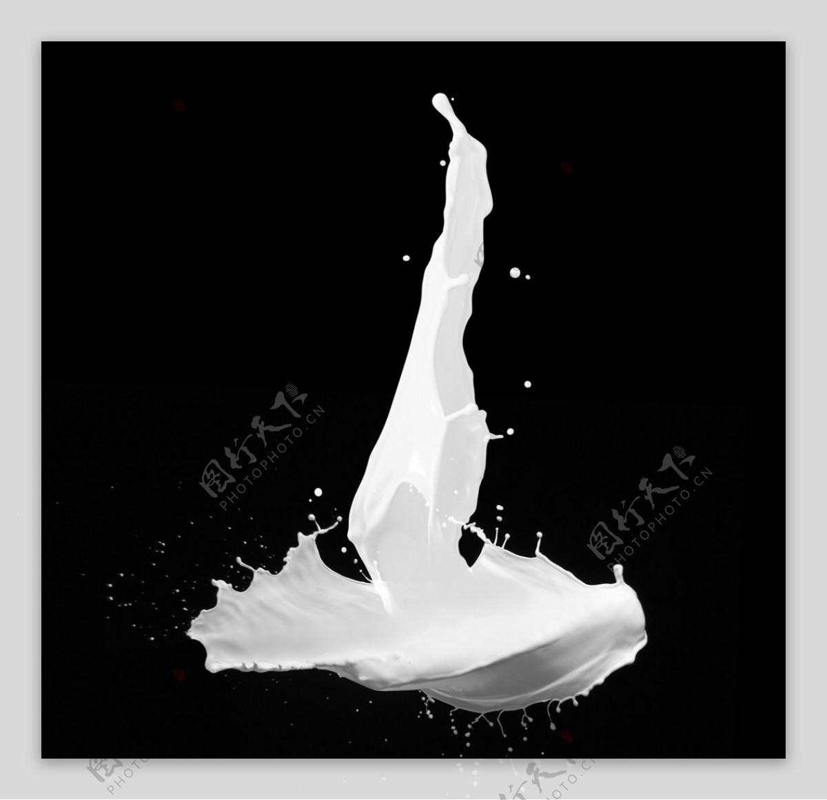 牛奶奶花素材图片