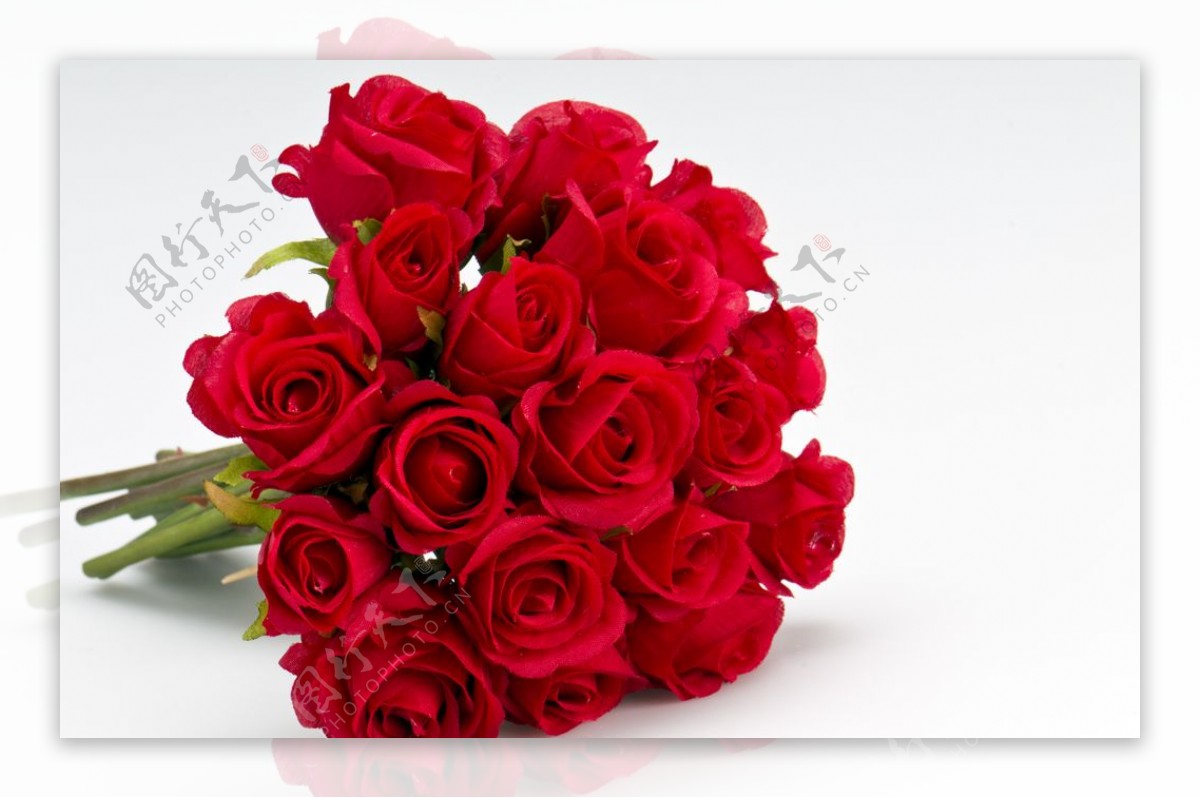 红色玫瑰花束高清拍摄素材图片