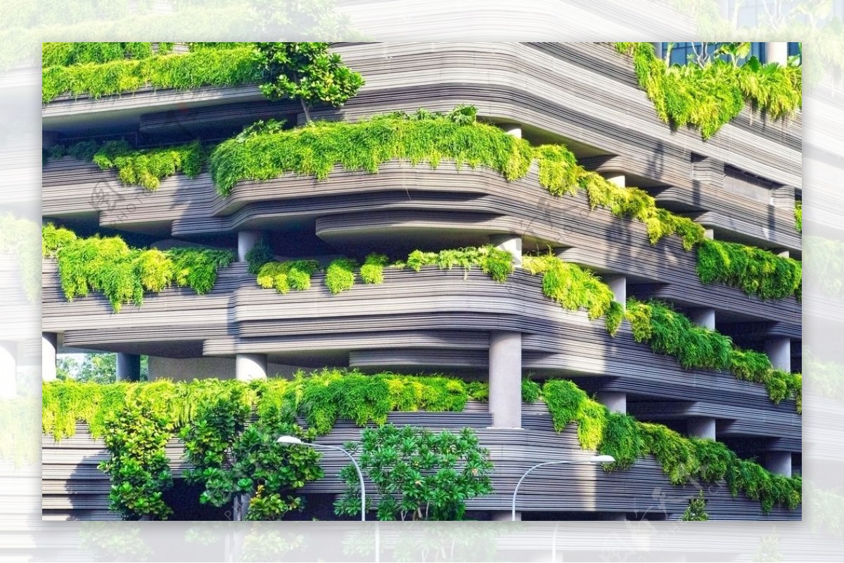 绿植与建筑图片