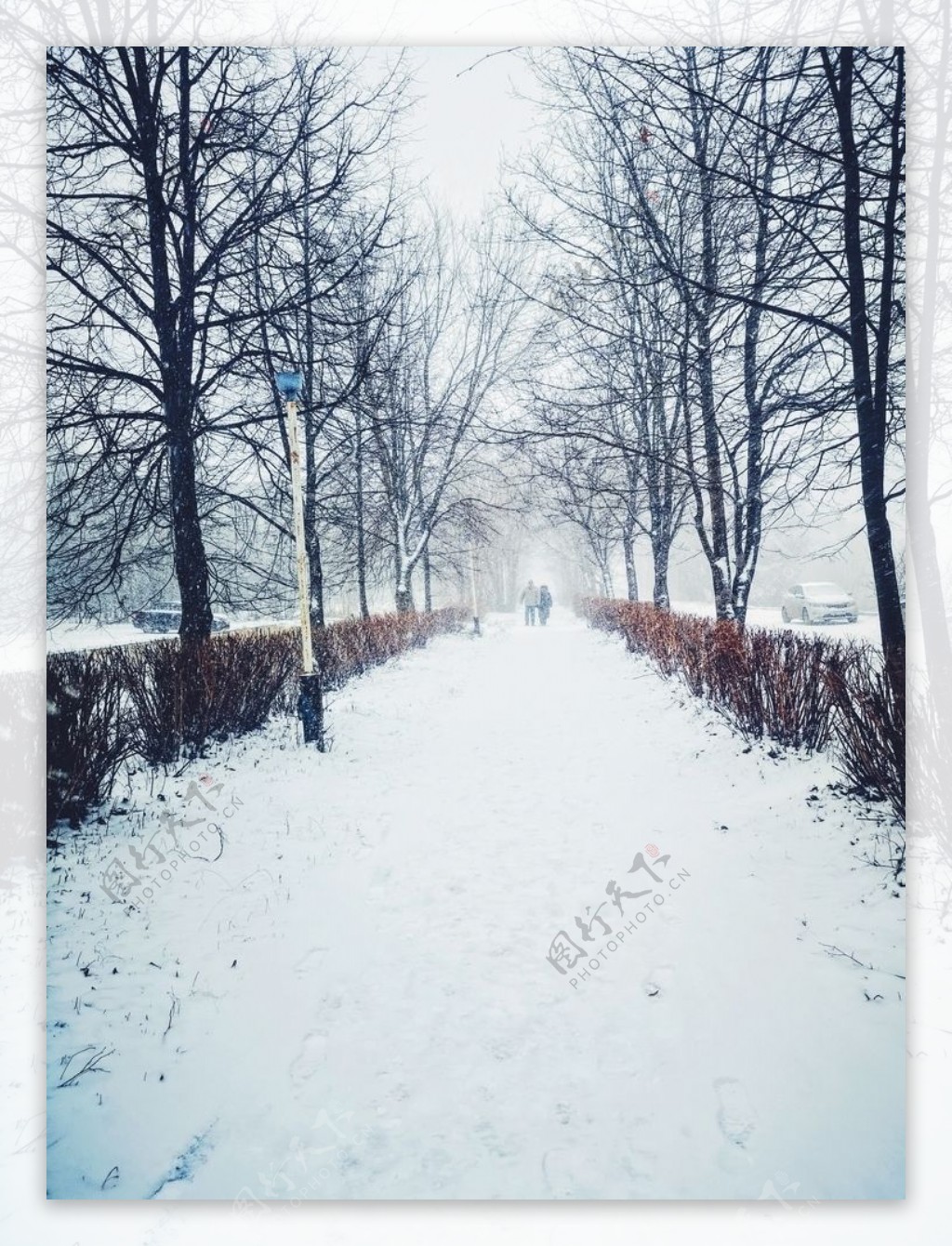 雪景图片