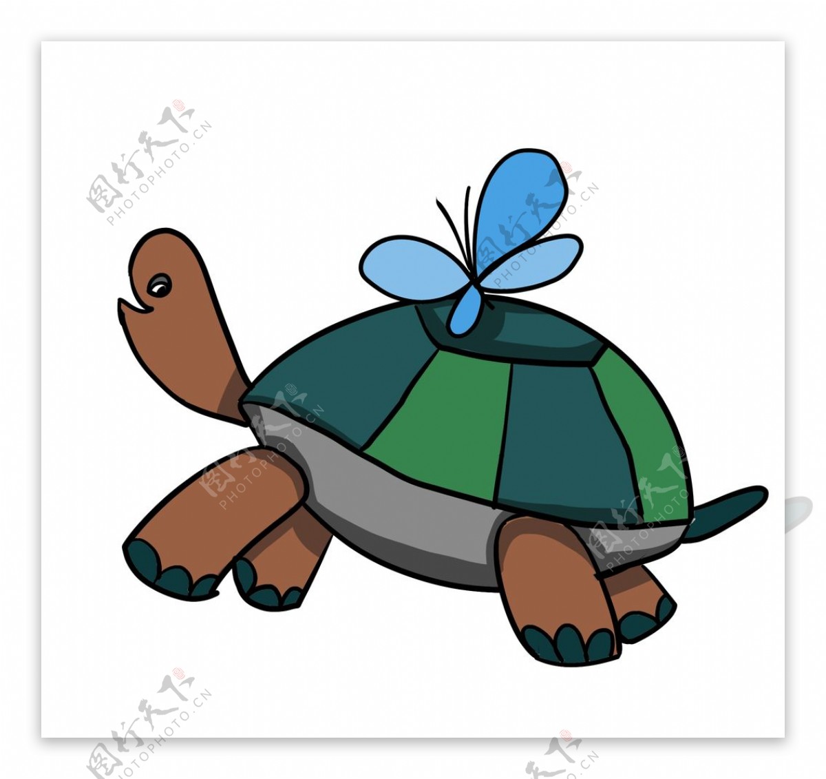 乌龟插画图片
