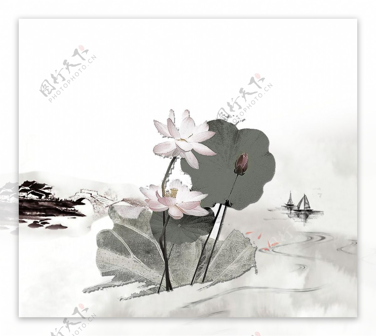 植物系列莲花手绘插画图片素材免费下载 - 觅知网