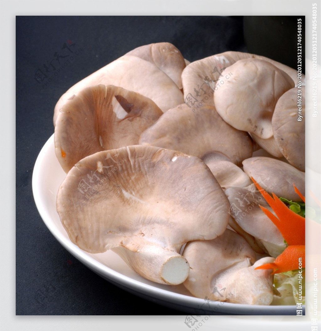 鲜菌鲍鱼菇图片