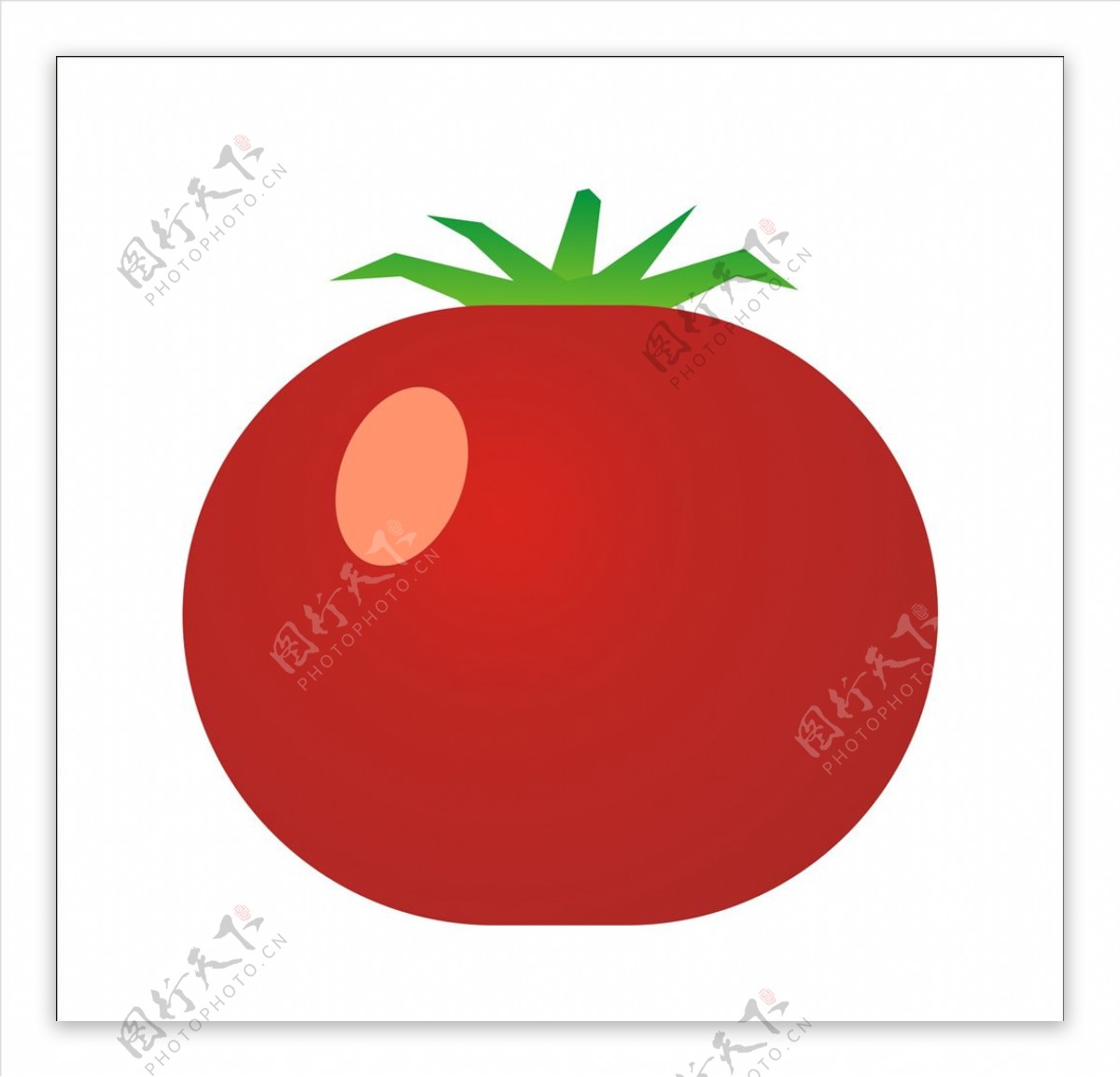 石榴西红柿图片