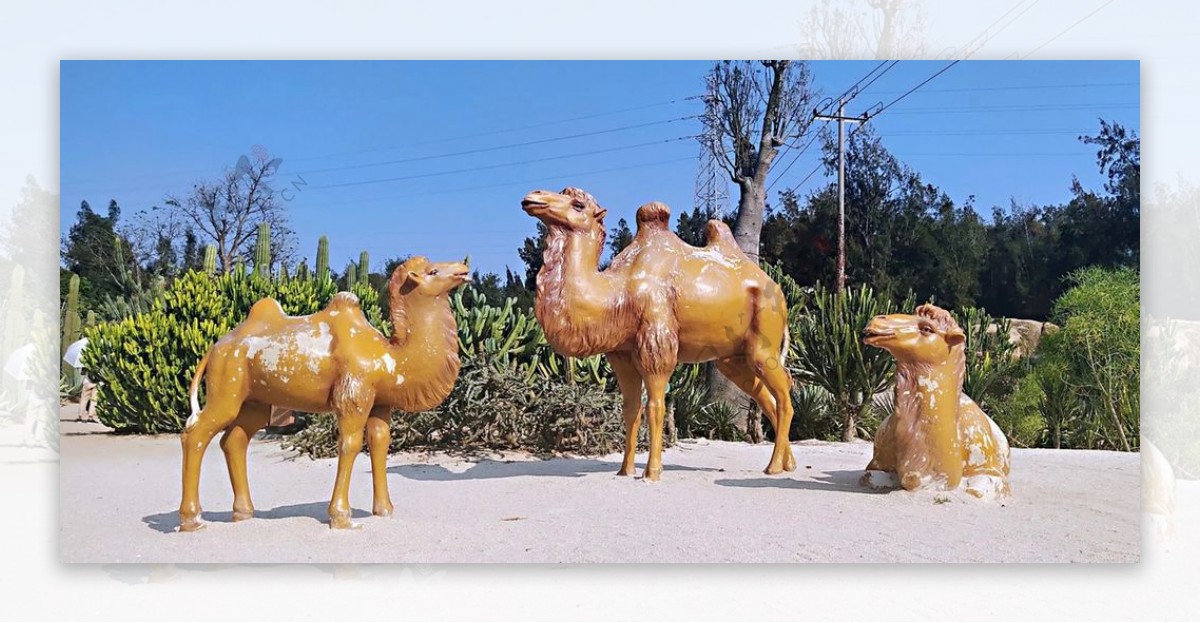 植物园骆驼雕塑图片
