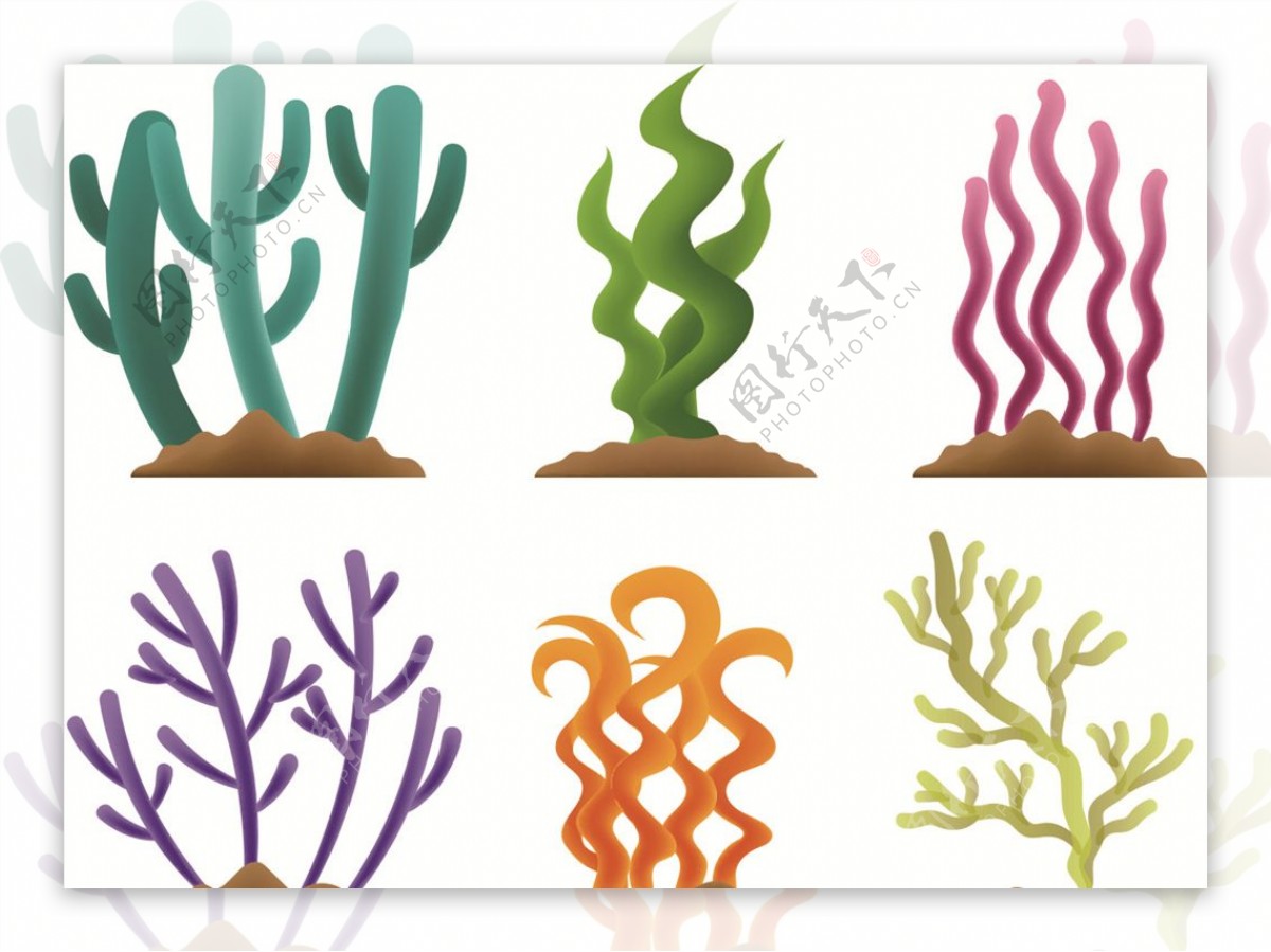 矢量柔美卡通珊瑚藻图片