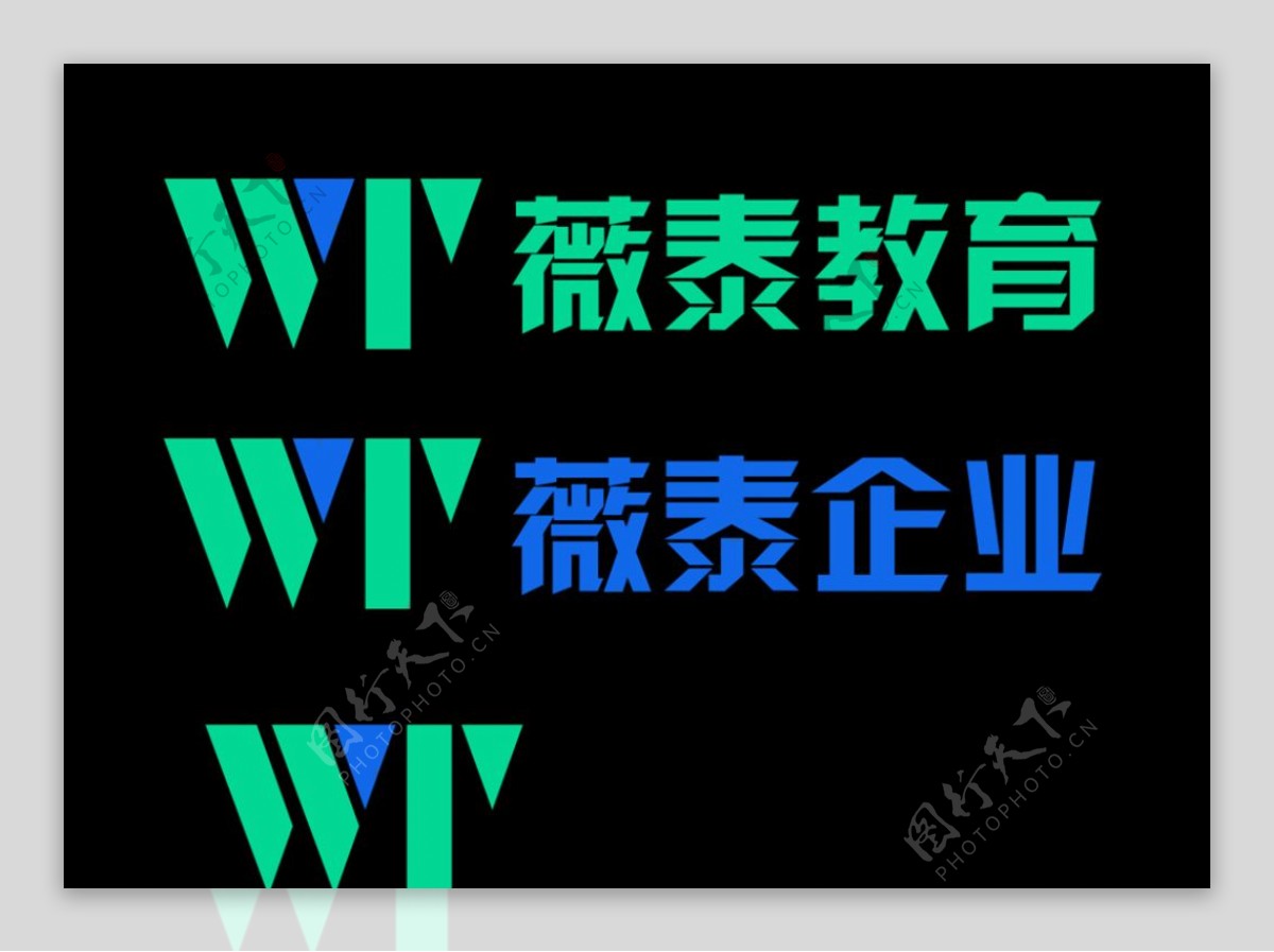 薇泰企业logo图片