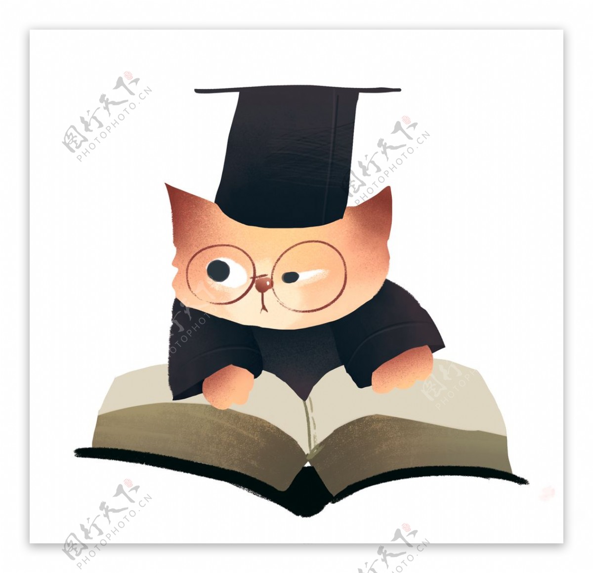 小奶猫看书看得昏昏欲睡，一直开小差，妈妈又好气又好笑！|铃铛|啃书|小奶猫_新浪新闻