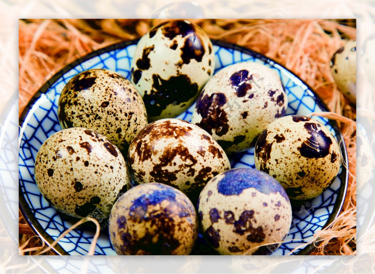 鸟蛋鹌鹑蛋煮蛋卤蛋图片