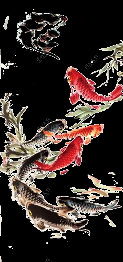 中国风手绘插画鱼图片